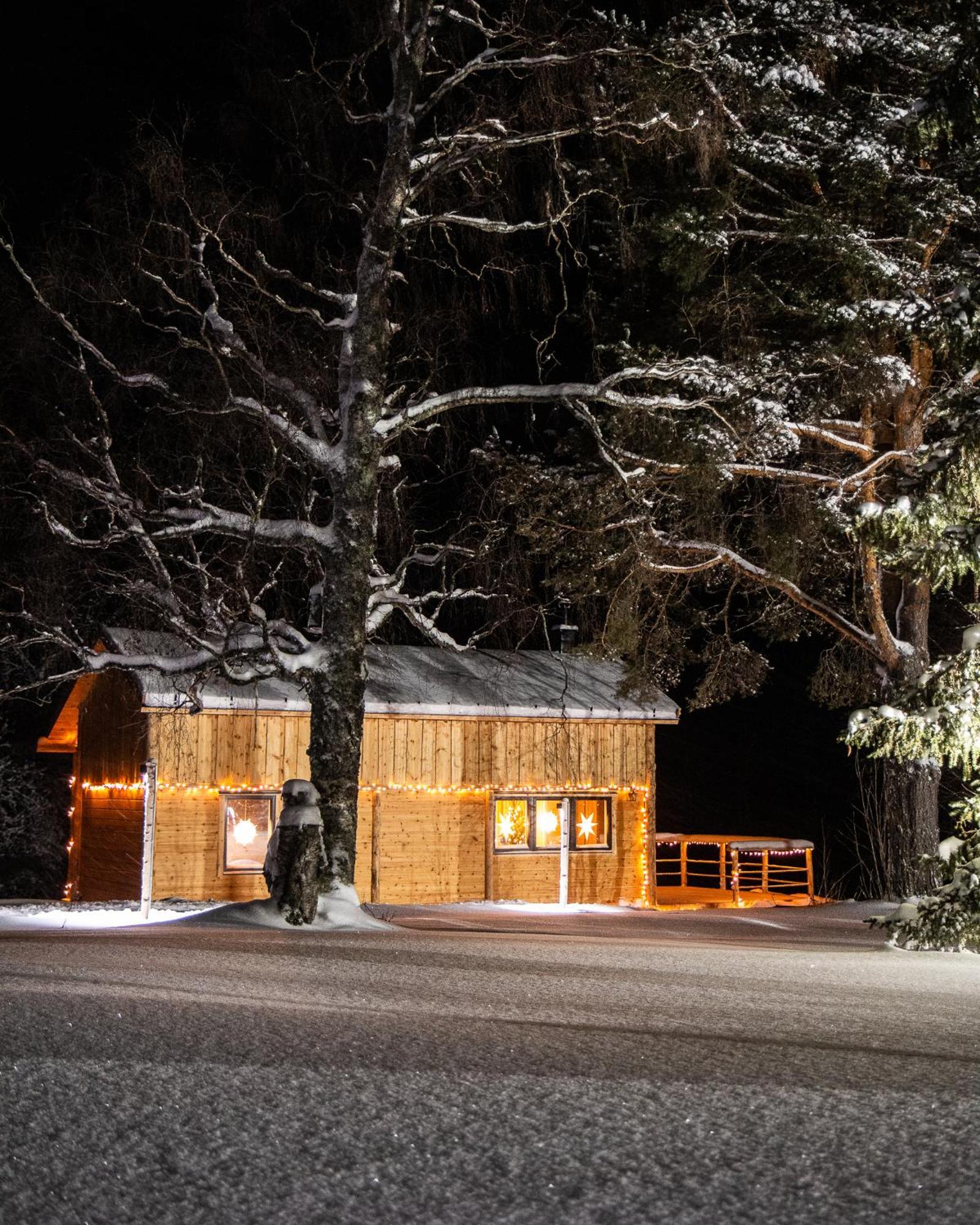 Blueberry Lodge 5 Personnes Mjolan 외부 사진